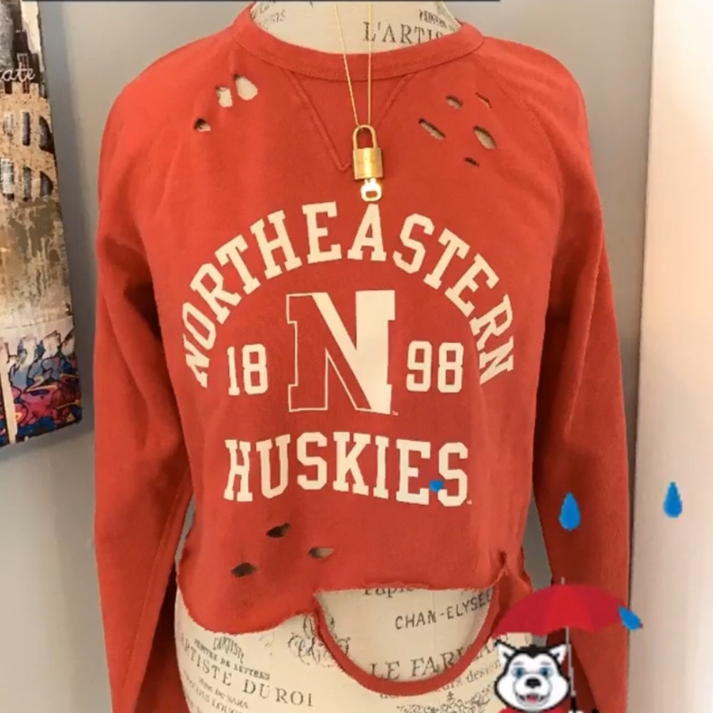 Northeastern Cropped and Distressed Crewneck